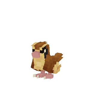 Pidgey